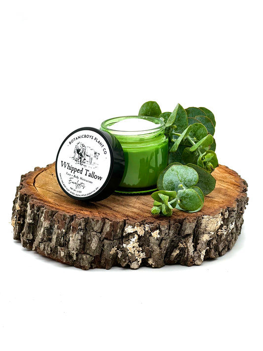 Whipped Beef Tallow Moisturizer