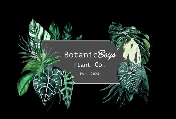 BotanicBoys Plant Co.